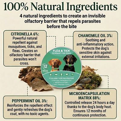 Natural Flea & Tick Prevention Pendant - Chemical-Free Pest Repellent Tag for Dogs and Cats