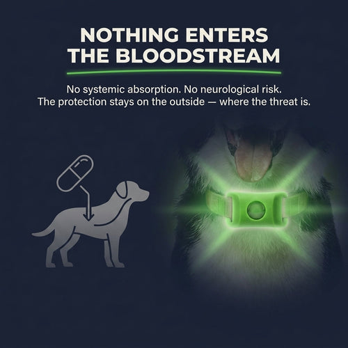 Natural Flea & Tick Prevention Pendant - Chemical-Free Pest Repellent Tag for Dogs and Cats